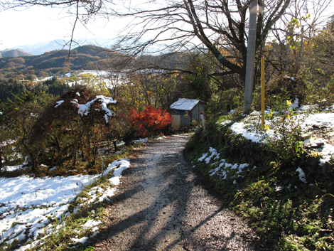20161125hike (320)